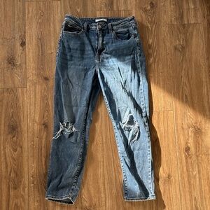 Willow & Root Mom Jeans